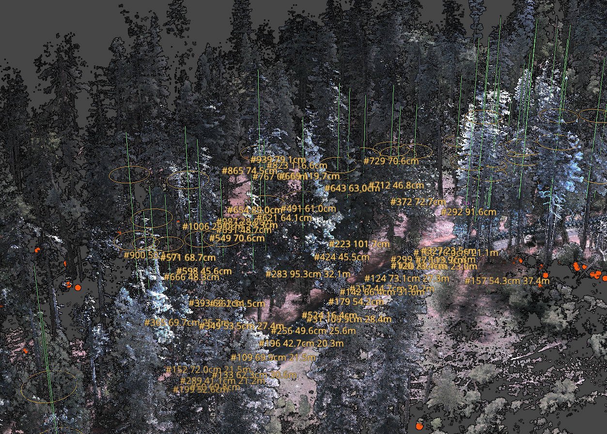 Point cloud of a forest plot in Parietra Atlas: detected stems are circled at breast height and labelled with diameter and tree height.